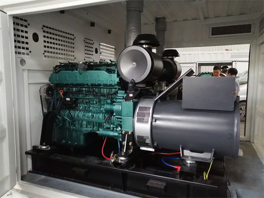 1800RPM Industrial Natural Gas Generators Combined Heat and Power 250KW