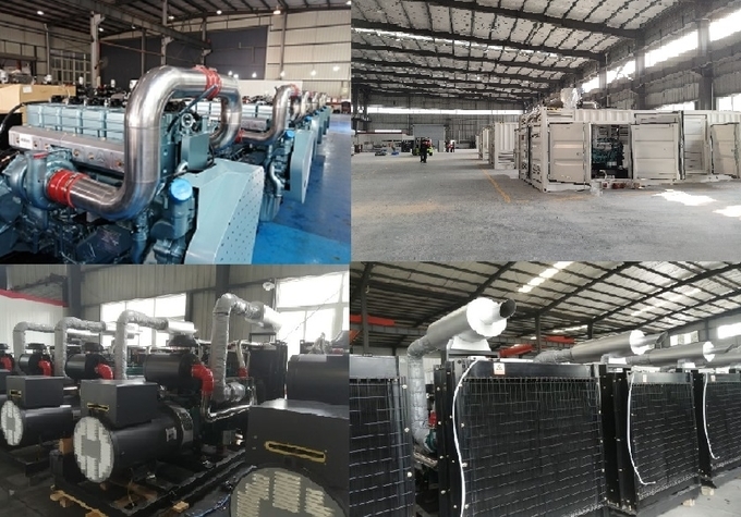 production combinée 0 de PCCE du biogaz 300kW